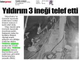 16-TİGRİS HABER_20251016_3_1916908172 (96 Kb)