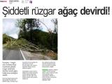 8-DOMANİÇ GAZETESİ_20251008_3_1916335516 (263 Kb)