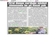 9-AKDENİZ_20251009_5_1916414395 (201 Kb)
