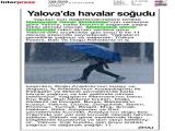4-YALOVA_20260204_3_1926281625 (147 Kb)