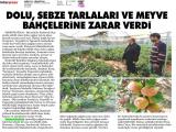 31-MEDYAYENİGÜN_20260531_6 (310 Kb)