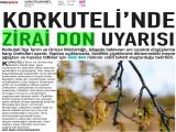5-KORKUTELİ MANŞET_20260505_3_1932719568 (215 Kb)