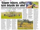 8-GAZİANTEP İLKHABER_20260508_7_1932968193 (702 Kb)