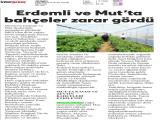 1-GÜNEY_20260601_5_1934497832 (205 Kb)