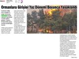 1-GAZETE LAPSEKİ_20260601_4_1934512501 (307 Kb)