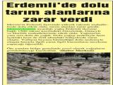 12-MERSİN_20260612_3_1935338213 (158 Kb)