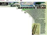 19-SABAH_20260619_18 (304 Kb)