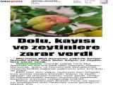 2-VİZYON HAVADİS_20260602_7_1934586231 (125 Kb)
