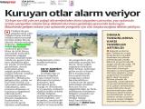 22-YENİ ŞAFAK_20260622_4_1936011816 (265 Kb)