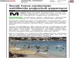 23-BODRUM YARIMADA_20260623_5_1936091154 (140 Kb)