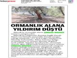 23-ESKİŞEHİR ŞEHİR_20260623_8_1936092112 (119 Kb)