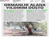 23-MİLLİ İRADE_20260623_4_1936079061 (134 Kb)