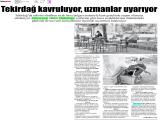 1-TRAKYA_20260701_5 (483 Kb)