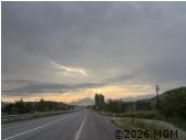 31