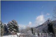 Günün Fotoğrafı